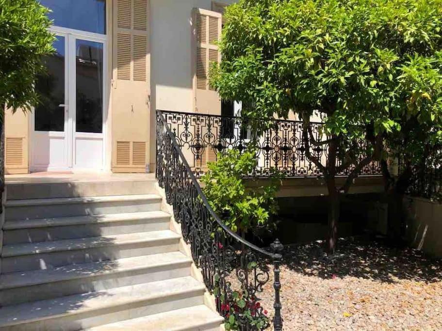 Marie Antoinette Appartement Cannes